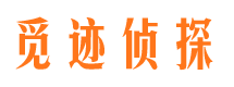 振安市私家侦探